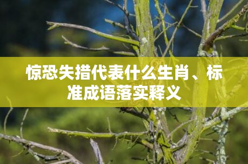 惊恐失措代表什么生肖、标准成语落实释义