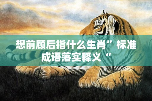 想前顾后指什么生肖”标准成语落实释义“