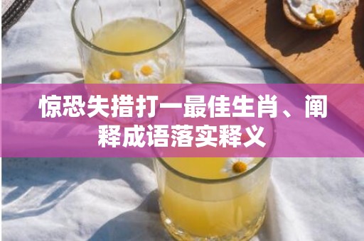 惊恐失措打一最佳生肖、阐释成语落实释义
