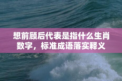 想前顾后代表是指什么生肖数字，标准成语落实释义