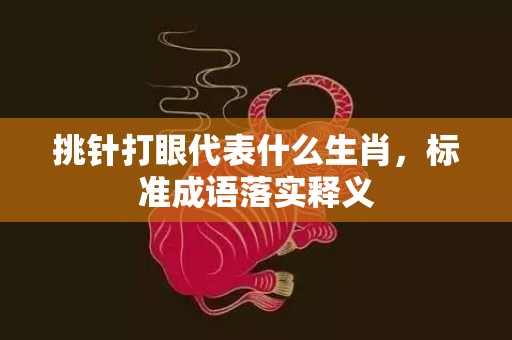 挑针打眼代表什么生肖，标准成语落实释义