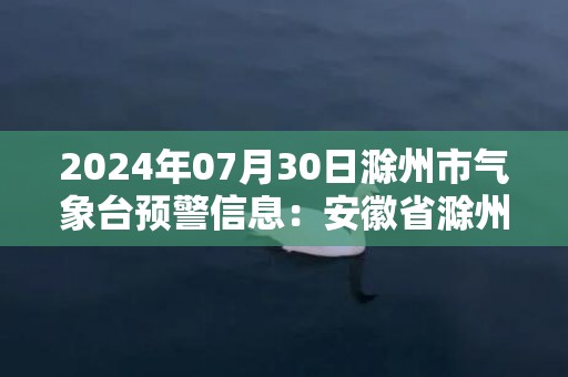 2024年07月30日滁州市气象台预警信息：安徽省滁州市更新高温橙色预警