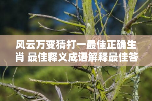 风云万变猜打一最佳正确生肖 最佳释义成语解释最佳答