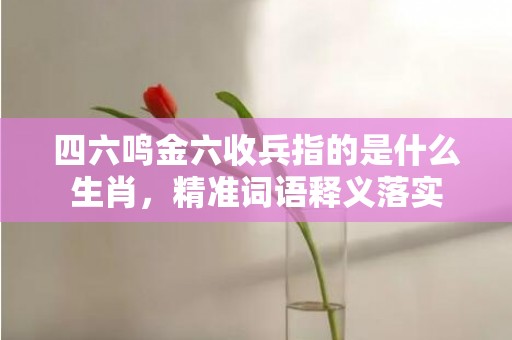 四六鸣金六收兵指的是什么生肖，精准词语释义落实