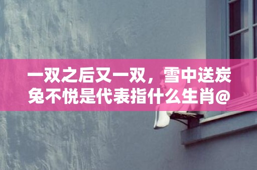 一双之后又一双，雪中送炭兔不悦是代表指什么生肖@标准成语落实释义