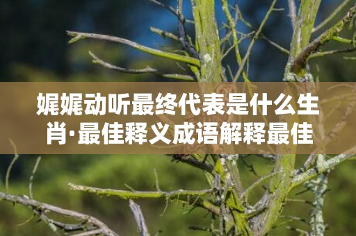娓娓动听最终代表是什么生肖·最佳释义成语解释最佳答