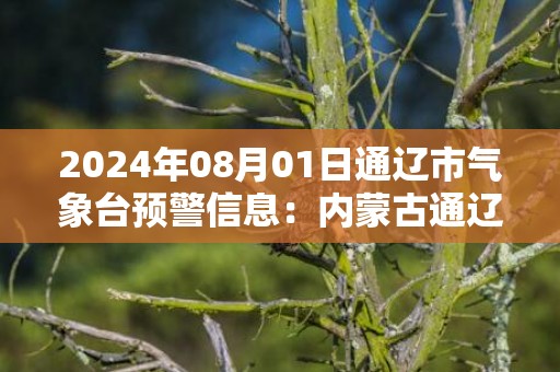 2024年08月01日通辽市气象台预警信息：内蒙古通辽市发布雷电黄色预警