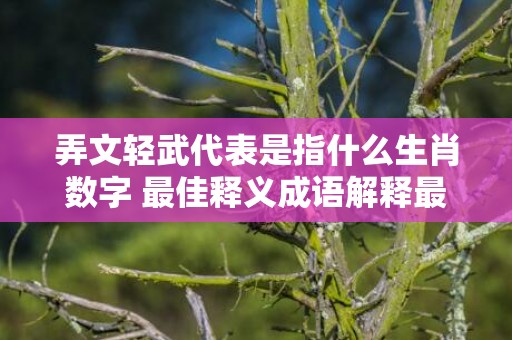 弄文轻武代表是指什么生肖数字 最佳释义成语解释最佳答