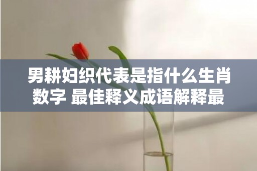 男耕妇织代表是指什么生肖数字 最佳释义成语解释最佳答