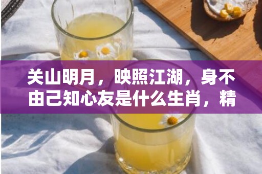 关山明月，映照江湖，身不由己知心友是什么生肖，精准词语释义落实
