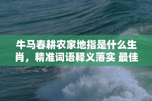 牛马春耕农家地指是什么生肖，精准词语释义落实 最佳释义成语解释最佳答