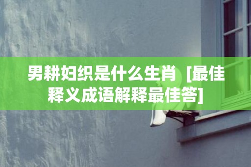 男耕妇织是什么生肖  [最佳释义成语解释最佳答]