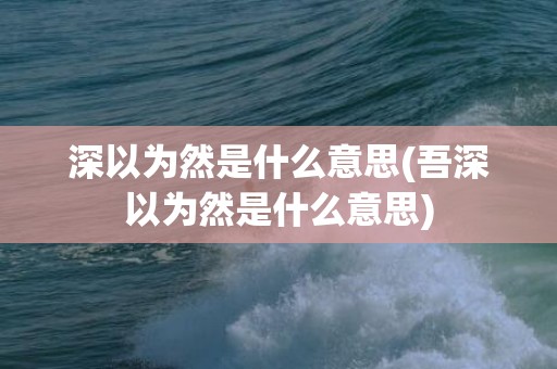 深以为然是什么意思(吾深以为然是什么意思)
