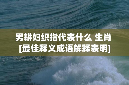 男耕妇织指代表什么 生肖 [最佳释义成语解释表明]