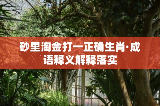 砂里淘金打一正确生肖·成语释义解释落实