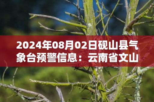 2024年08月02日砚山县气象台预警信息：云南省文山壮族苗族自治州砚山县发布暴雨橙色预警