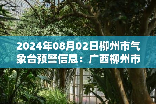 2024年08月02日柳州市气象台预警信息：广西柳州市更新雷电黄色预警
