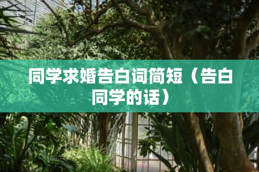 同学求婚告白词简短（告白同学的话）