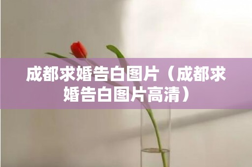 成都求婚告白图片（成都求婚告白图片高清）