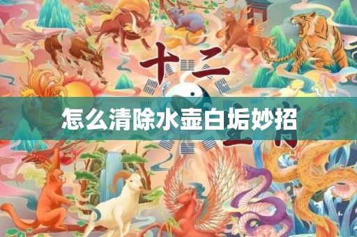 怎么清除水壶白垢妙招