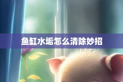 鱼缸水垢怎么清除妙招