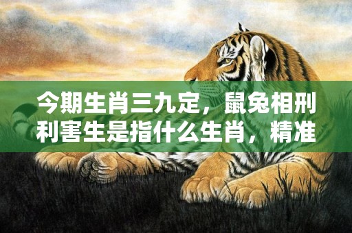 今期生肖三九定，鼠兔相刑利害生是指什么生肖，精准词意