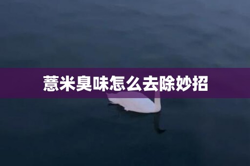 薏米臭味怎么去除妙招
