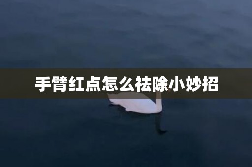手臂红点怎么祛除小妙招
