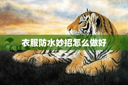 衣服防水妙招怎么做好