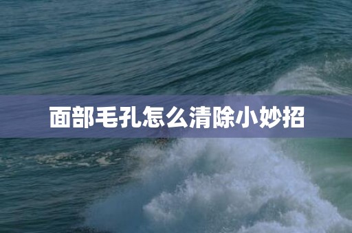 面部毛孔怎么清除小妙招