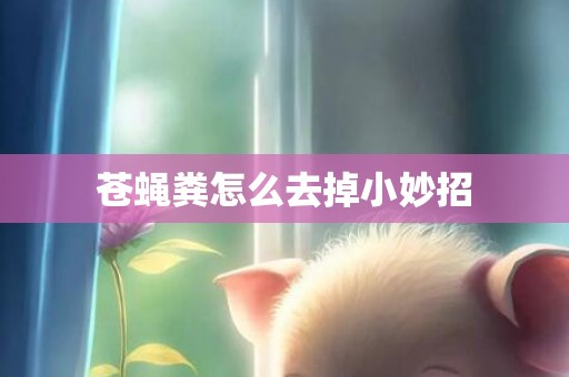 苍蝇粪怎么去掉小妙招