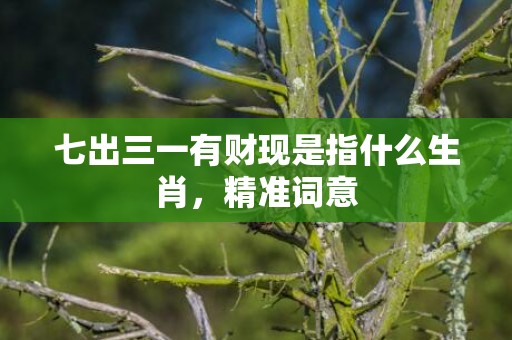 七出三一有财现是指什么生肖，精准词意