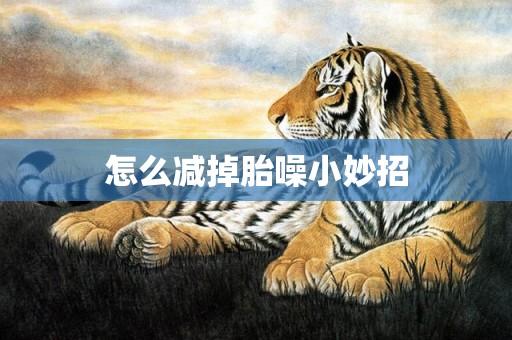 怎么减掉胎噪小妙招
