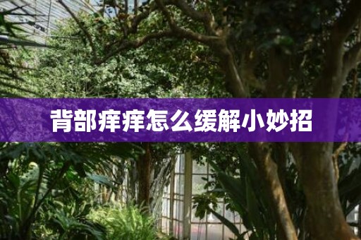 背部痒痒怎么缓解小妙招