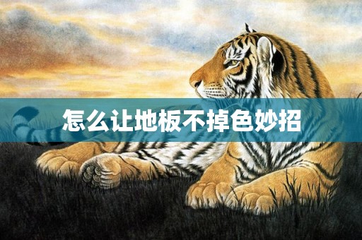 怎么让地板不掉色妙招