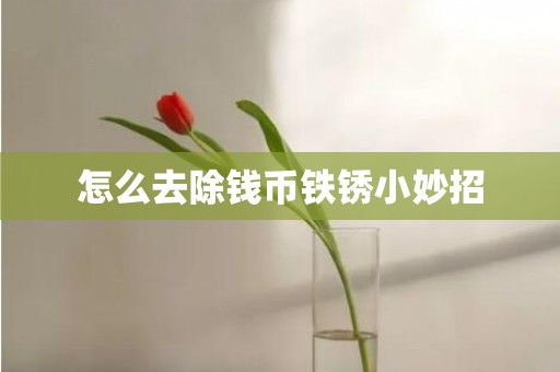 怎么去除钱币铁锈小妙招