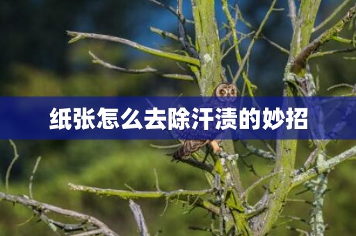 纸张怎么去除汗渍的妙招