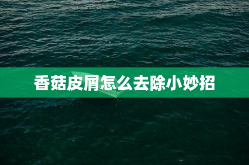 香菇皮屑怎么去除小妙招