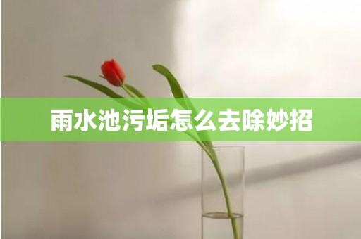 雨水池污垢怎么去除妙招