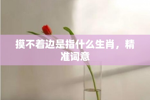 摸不着边是指什么生肖，精准词意
