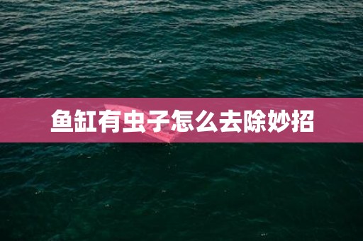 鱼缸有虫子怎么去除妙招