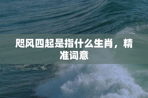 咫风四起是指什么生肖，精准词意