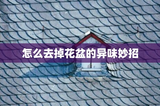 怎么去掉花盆的异味妙招