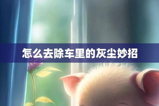 怎么去除车里的灰尘妙招