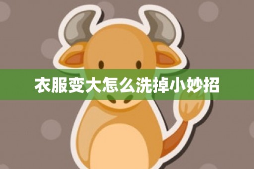 衣服变大怎么洗掉小妙招