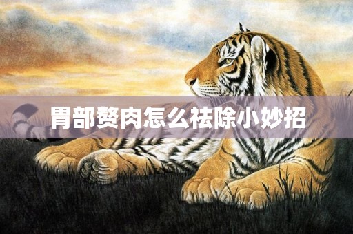 胃部赘肉怎么祛除小妙招