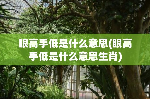 眼高手低是什么意思(眼高手低是什么意思生肖)