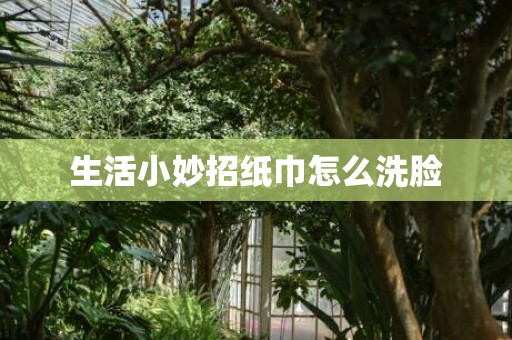 生活小妙招纸巾怎么洗脸