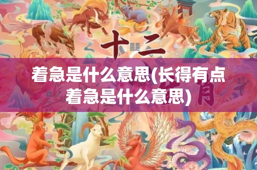 着急是什么意思(长得有点着急是什么意思)