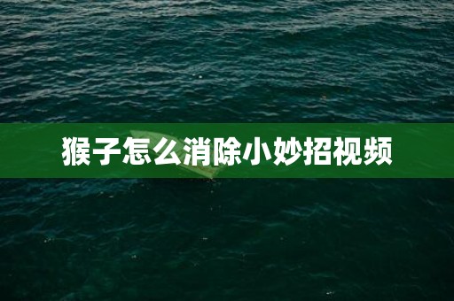 猴子怎么消除小妙招视频